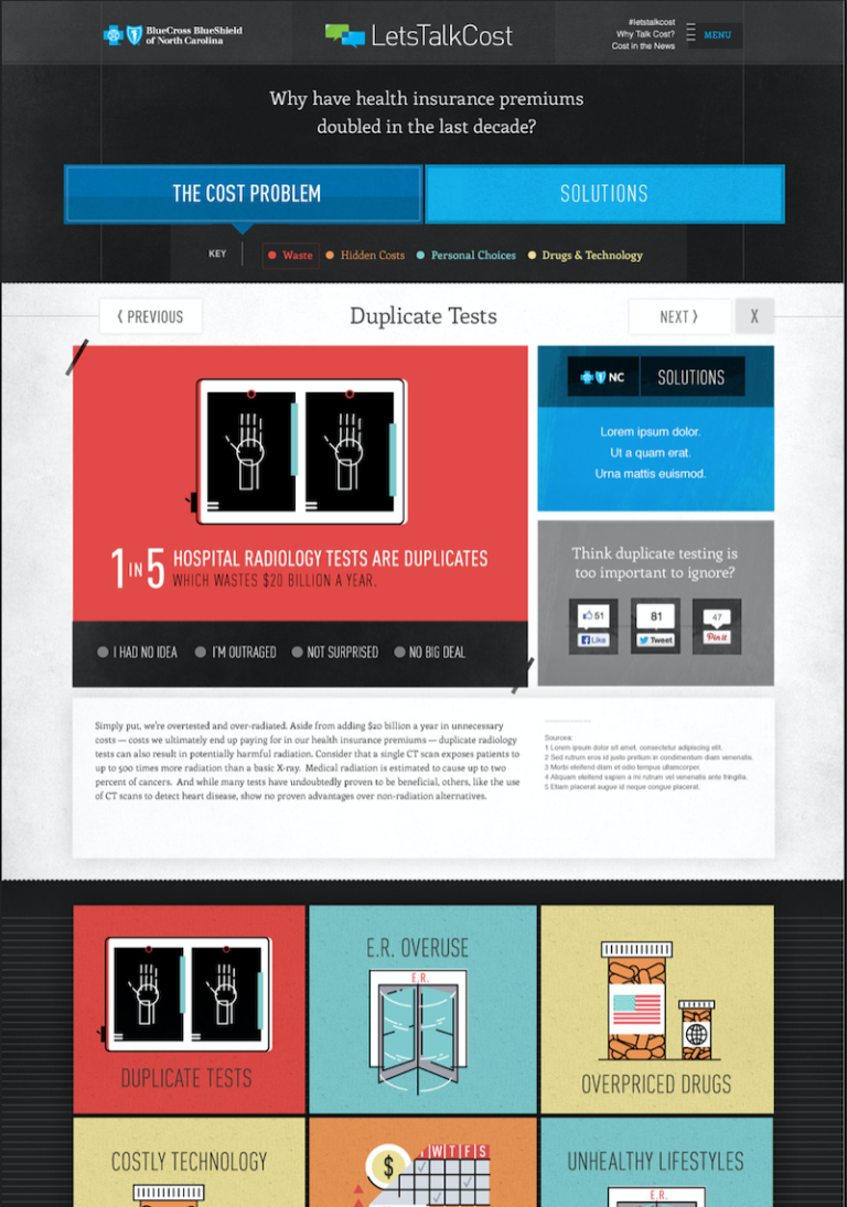 Detail view mock-up of one-page website discussing high medical costs